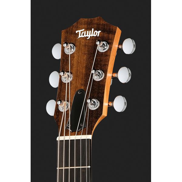 Taylor GS Mini-e Special Edition HB