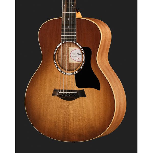 Taylor GS Mini-e Special Edition HB