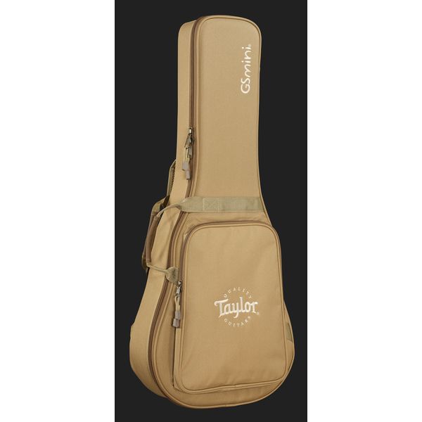 Taylor GS Mini-e Special Edition HB