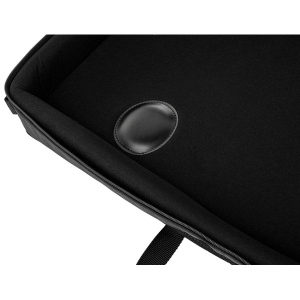 Horst Wünsche Soft Bag Schülerzither 36