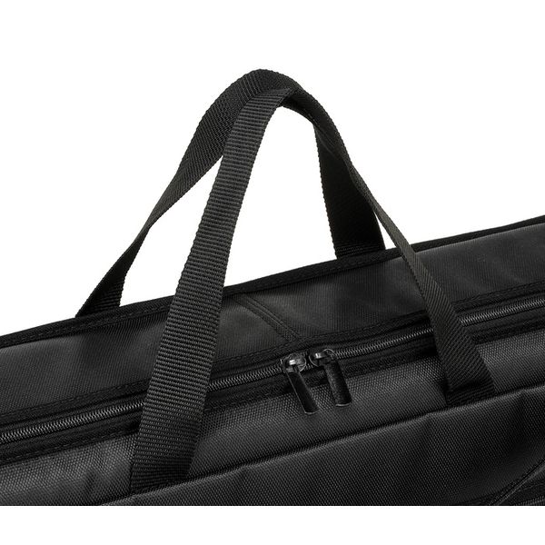 Horst Wünsche Soft Bag Schülerzither 36