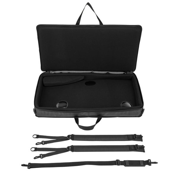 Horst Wünsche Soft Bag Schülerzither 36