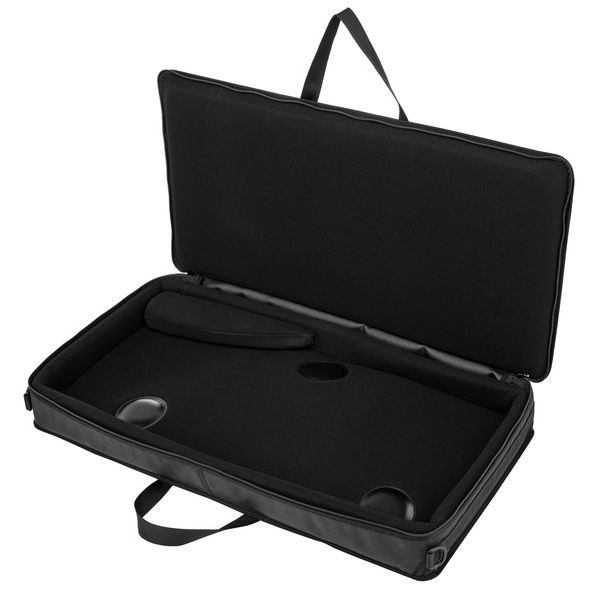 Horst Wünsche Soft Bag Schülerzither 36