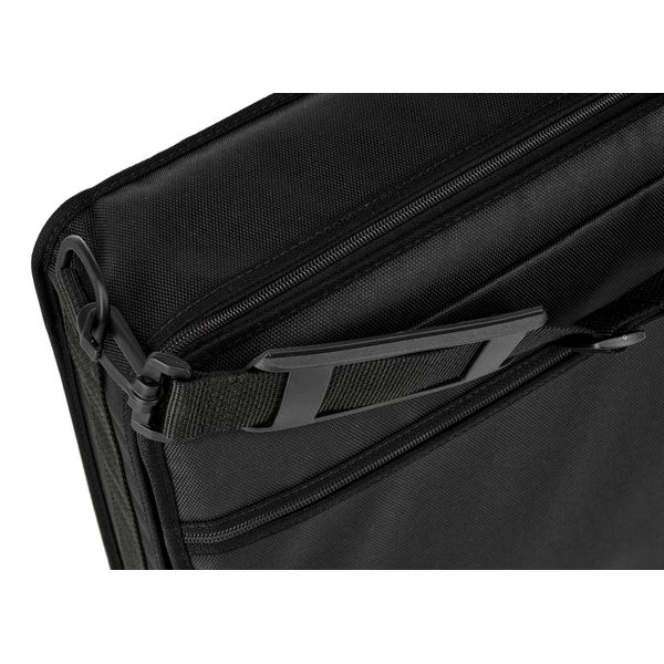 Horst Wünsche Soft Bag Concert- Harfenzither