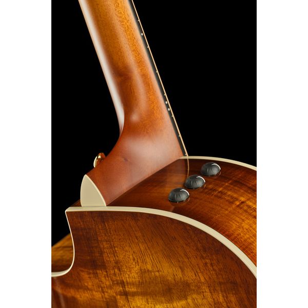 Taylor 214ce-K DLX Special Edition HB