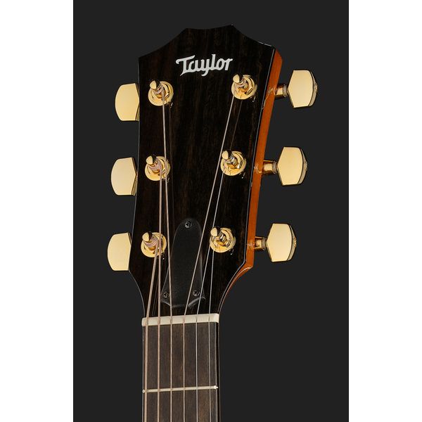 Taylor 217e Plus Special Edition HB