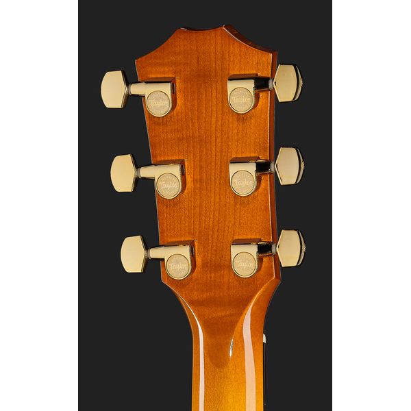 Taylor 217e Plus Special Edition HB