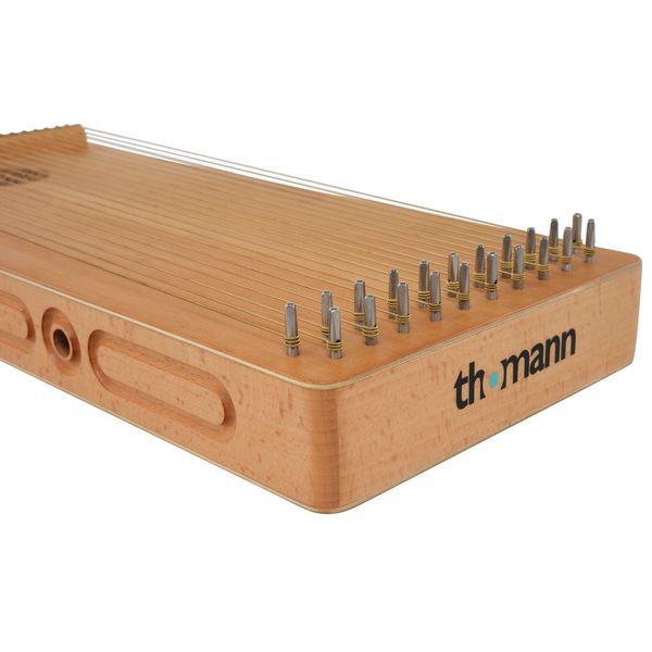 Thomann SoundScape Monochord D21