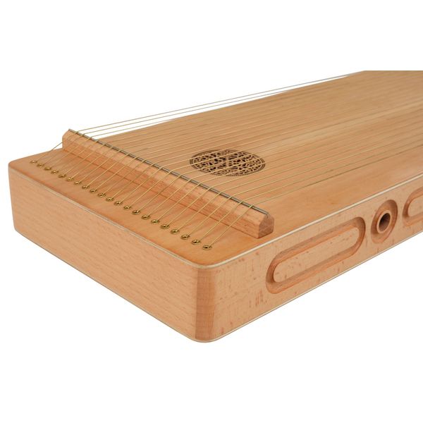 Thomann SoundScape Monochord D21