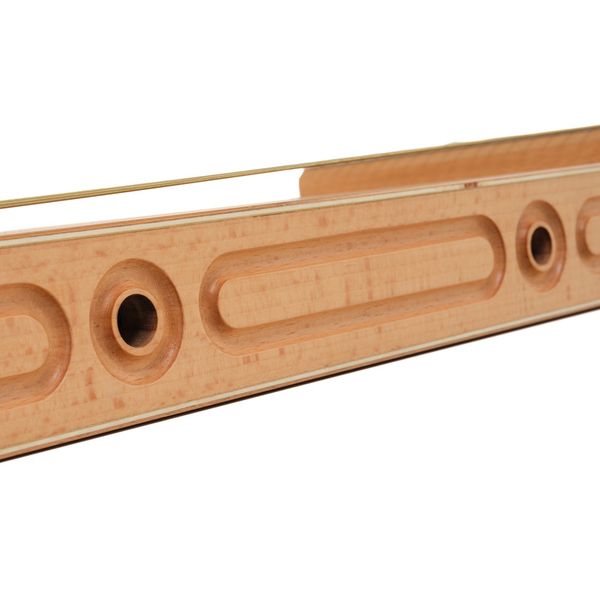 Thomann SoundScape Monochord D21