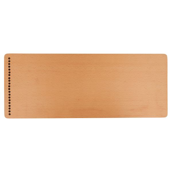 Thomann SoundScape Monochord D21