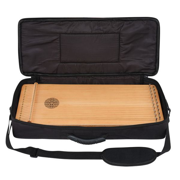 Thomann SoundScape Monochord D21