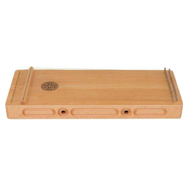 Thomann SoundScape Monochord D21