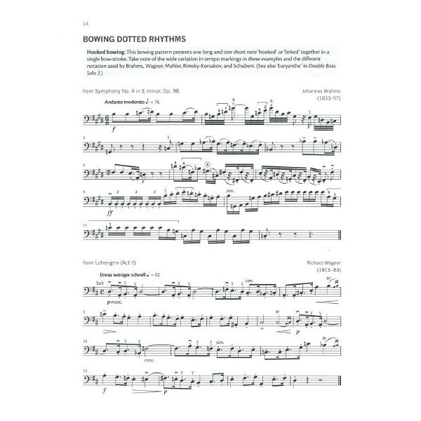 Oxford University Press Double Bass Solo Techniques