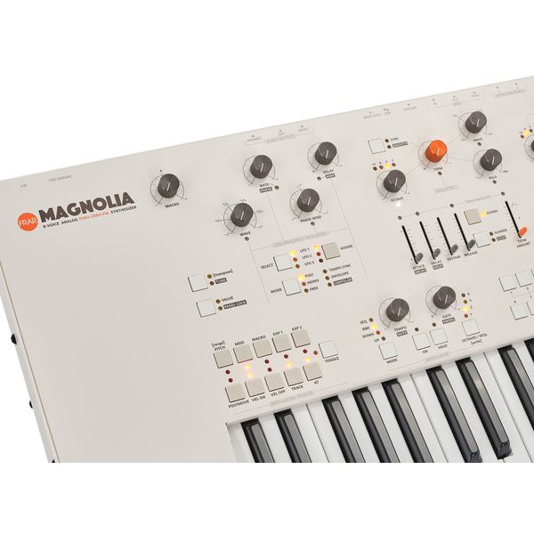 Frap Tools Magnolia