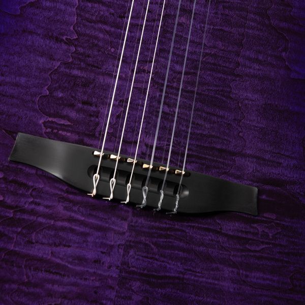Godin ACS Nylon Steve Stevens LTD