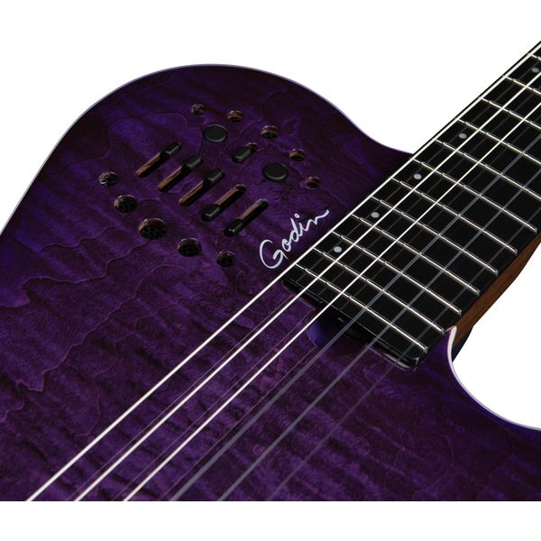 Godin ACS Nylon Steve Stevens LTD