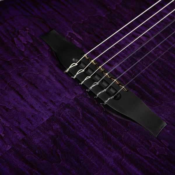 Godin ACS Nylon Steve Stevens LTD