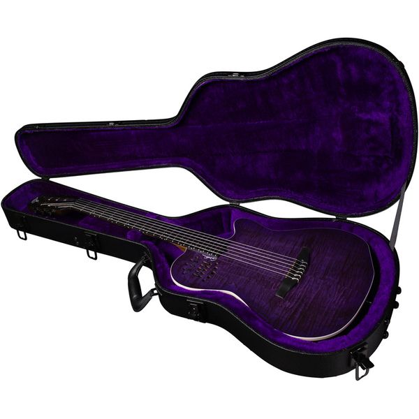 Godin ACS Nylon Steve Stevens LTD