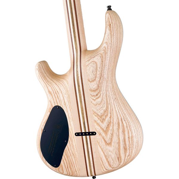 Mayones Guitars Regius 6 TPI