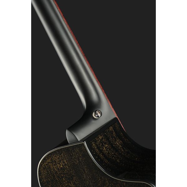 Breedlove Rainforest S Concert BG LH CE