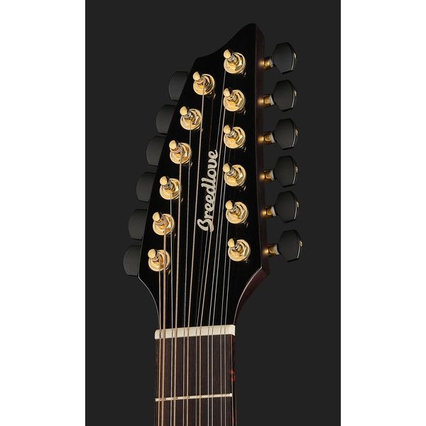 Breedlove Artista Pro Concert BA 12 CE W