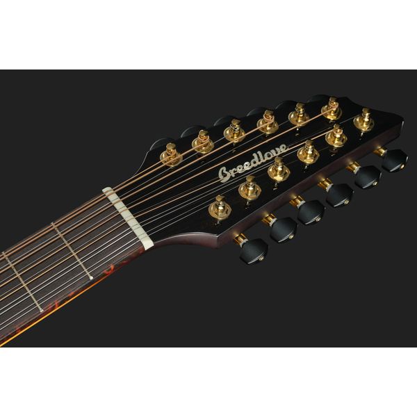 Breedlove Artista Pro Concert BA 12 CE W