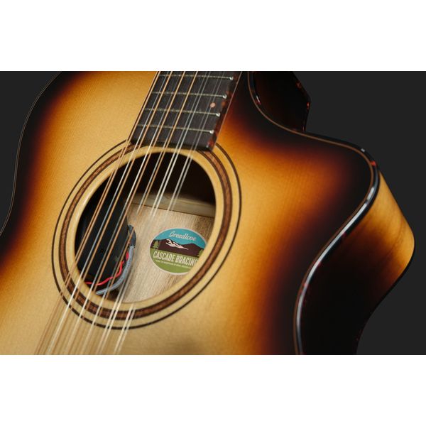 Breedlove Artista Pro Concert BA 12 CE W