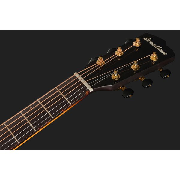 Breedlove Artista Pro Concerto BA CE W/C