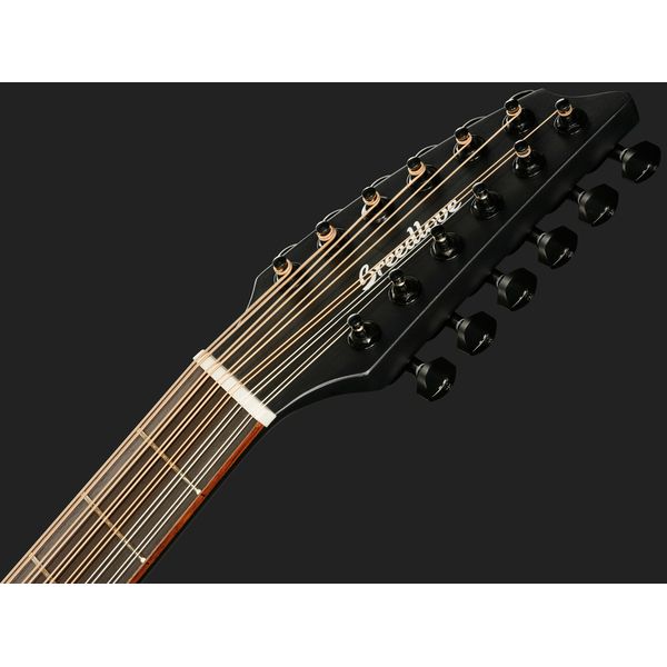 Breedlove Discovery S CN SAT. BLK DBL12