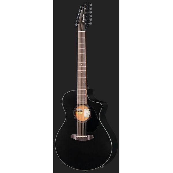 Breedlove Discovery S CN SAT. BLK DBL12