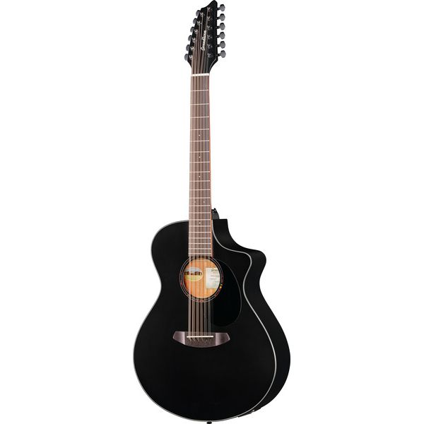 Breedlove Discovery S CN SAT. BLK DBL12