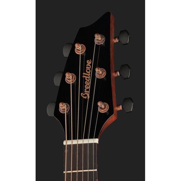 Breedlove Pursuit EX S Companion TE CE