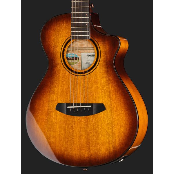 Breedlove Pursuit EX S Companion TE CE