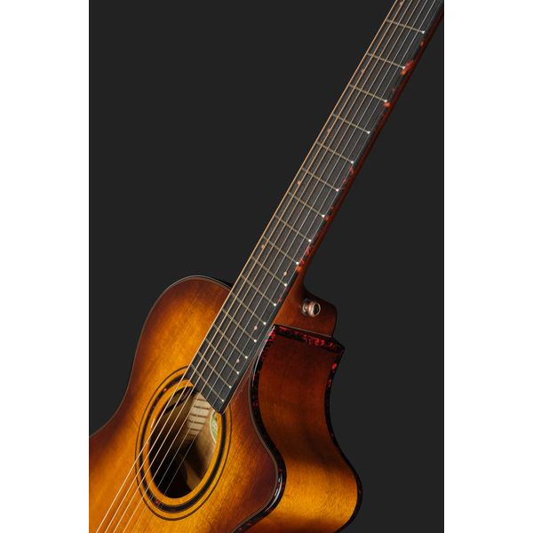 Breedlove Pursuit EX S Companion TE CE