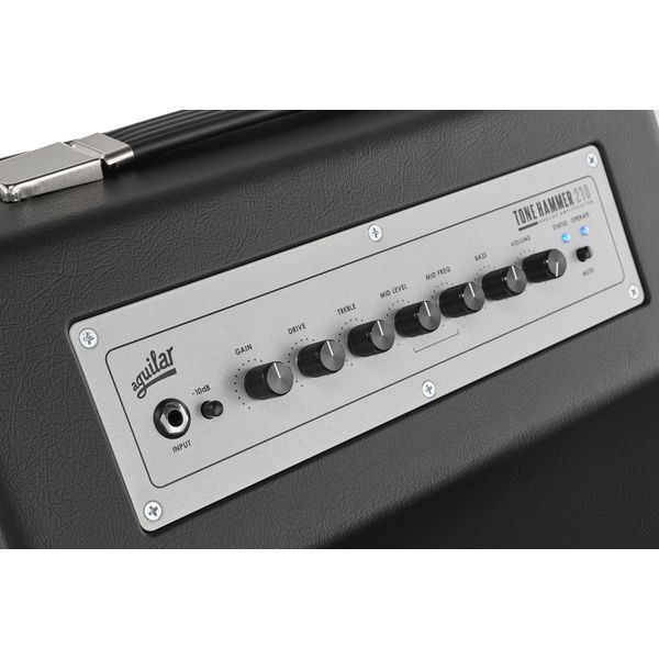 Aguilar Tone Hammer 210
