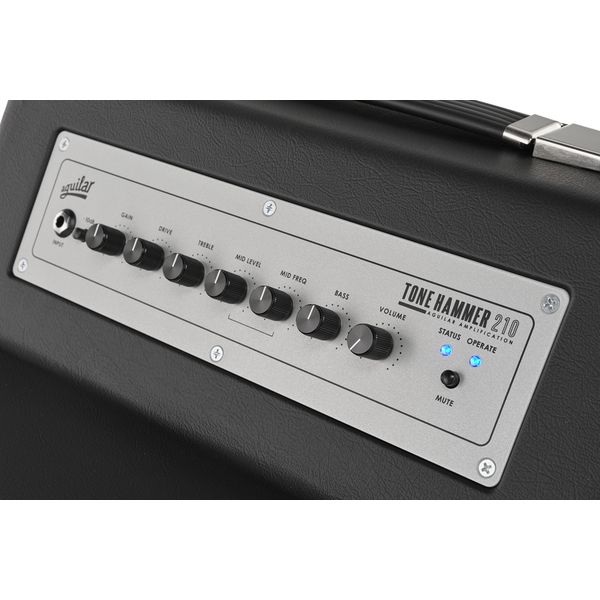 Aguilar Tone Hammer 210