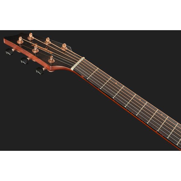 Breedlove Pursuit EX S Concert TE LH CE