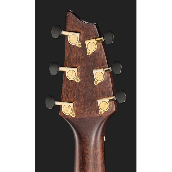 Breedlove Performer Pro Concert T CE(IR)