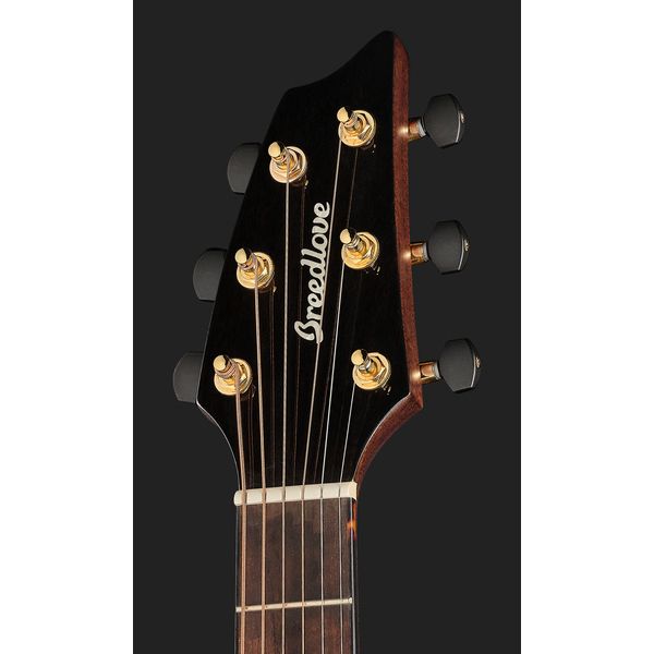 Breedlove Performer Pro Concert T CE(IR)