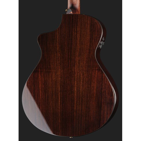 Breedlove Performer Pro Concert T CE(IR)