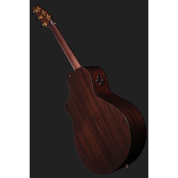 Breedlove Performer Pro Concert T CE(IR)