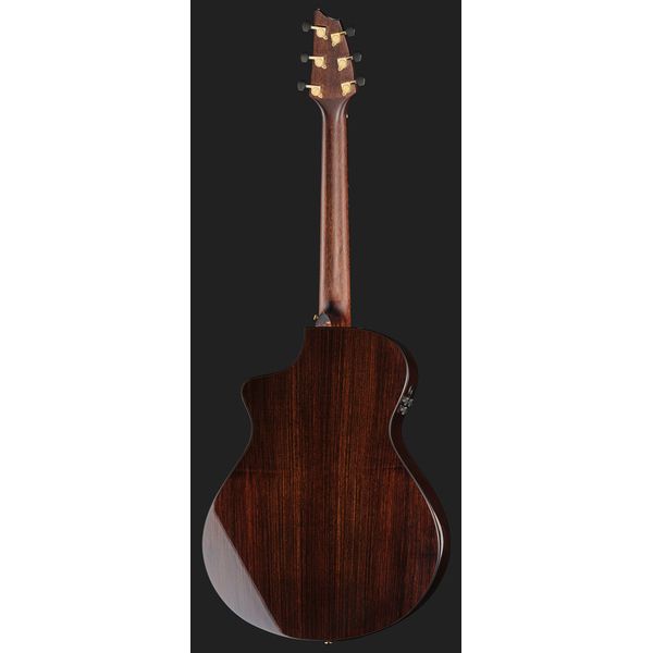 Breedlove Performer Pro Concert T CE(IR)