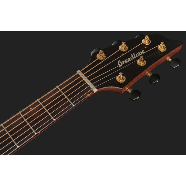 Breedlove Performer Pro Concert T CE(IR)