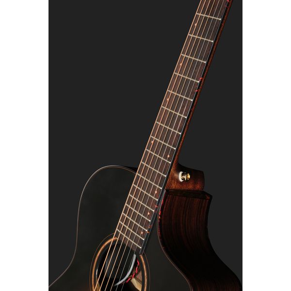 Breedlove Performer Pro Concert T CE(IR)