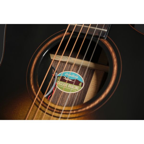 Breedlove Performer Pro Concert T CE(IR)