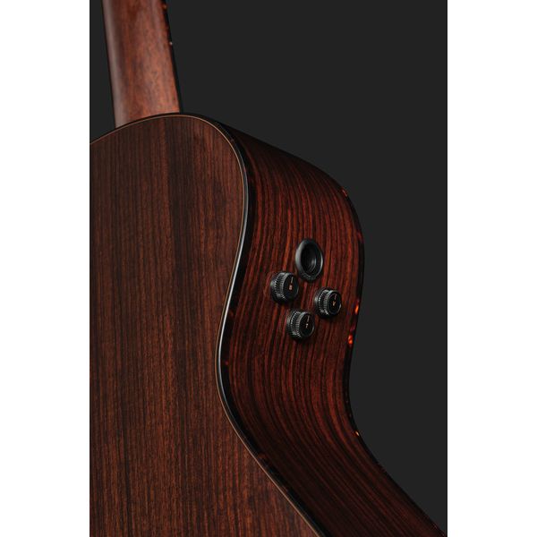 Breedlove Performer Pro Concert T CE(IR)
