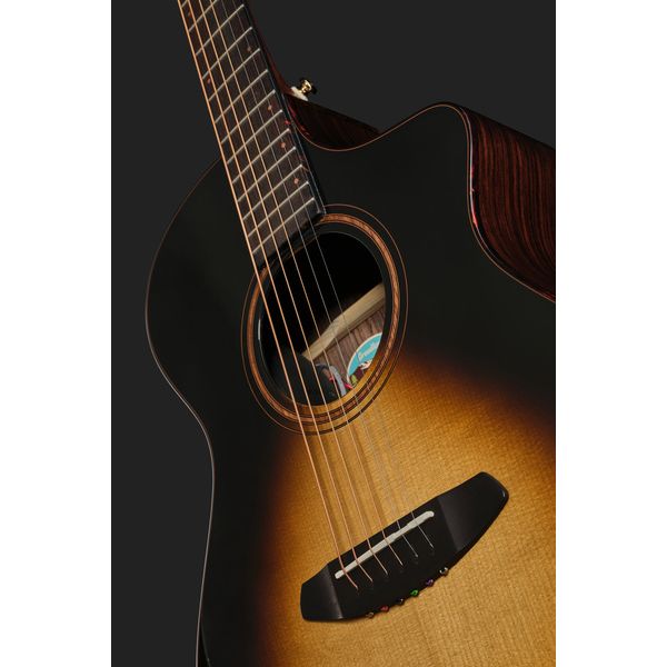 Breedlove Performer Pro Concert T CE(IR)
