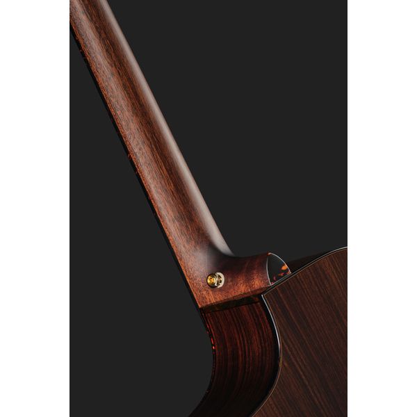 Breedlove Performer Pro Concert T CE(IR)