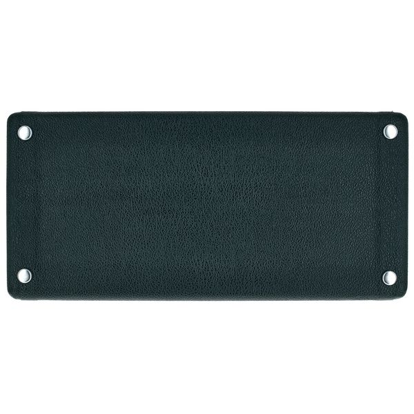 Fender Tone Master Princeton Rev BRG